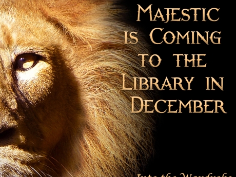 Close up of a lion with the words "Something majestic is coming to the library in December."