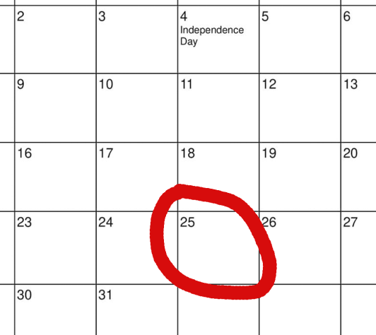 July 2024 calendar with the 25th circled in red