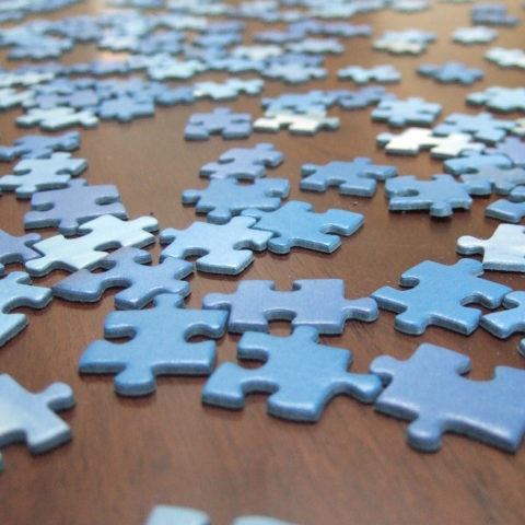 puzzle pieces in various shades of blue scattered on a brown table