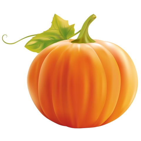 clip art of an orange pumpkin