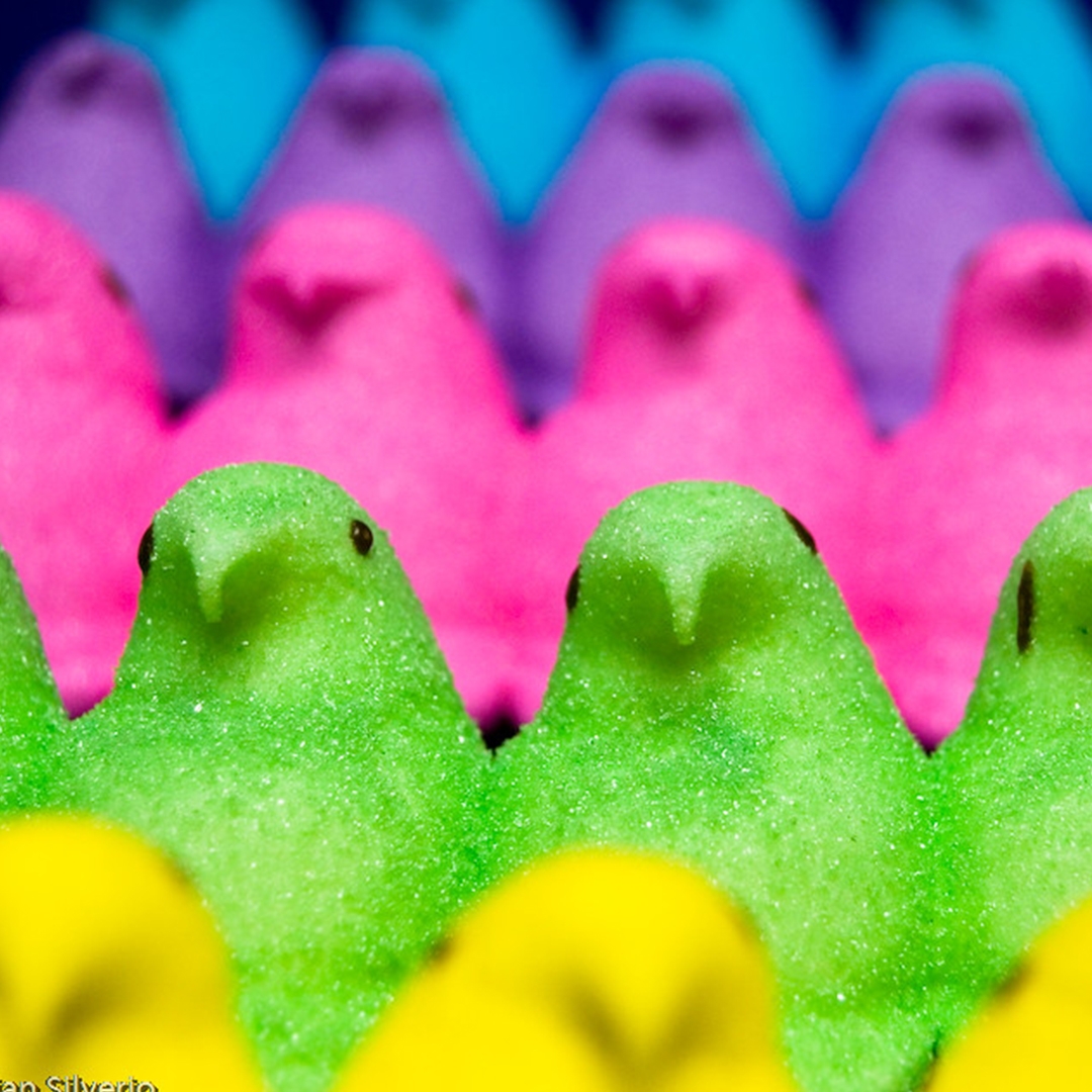 peeps--the duck-shaped marshmallow treats--of various colors in a row